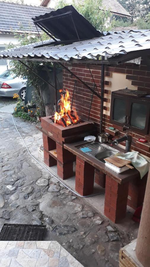 فندق Casa Delia Călimăneşti المظهر الخارجي الصورة