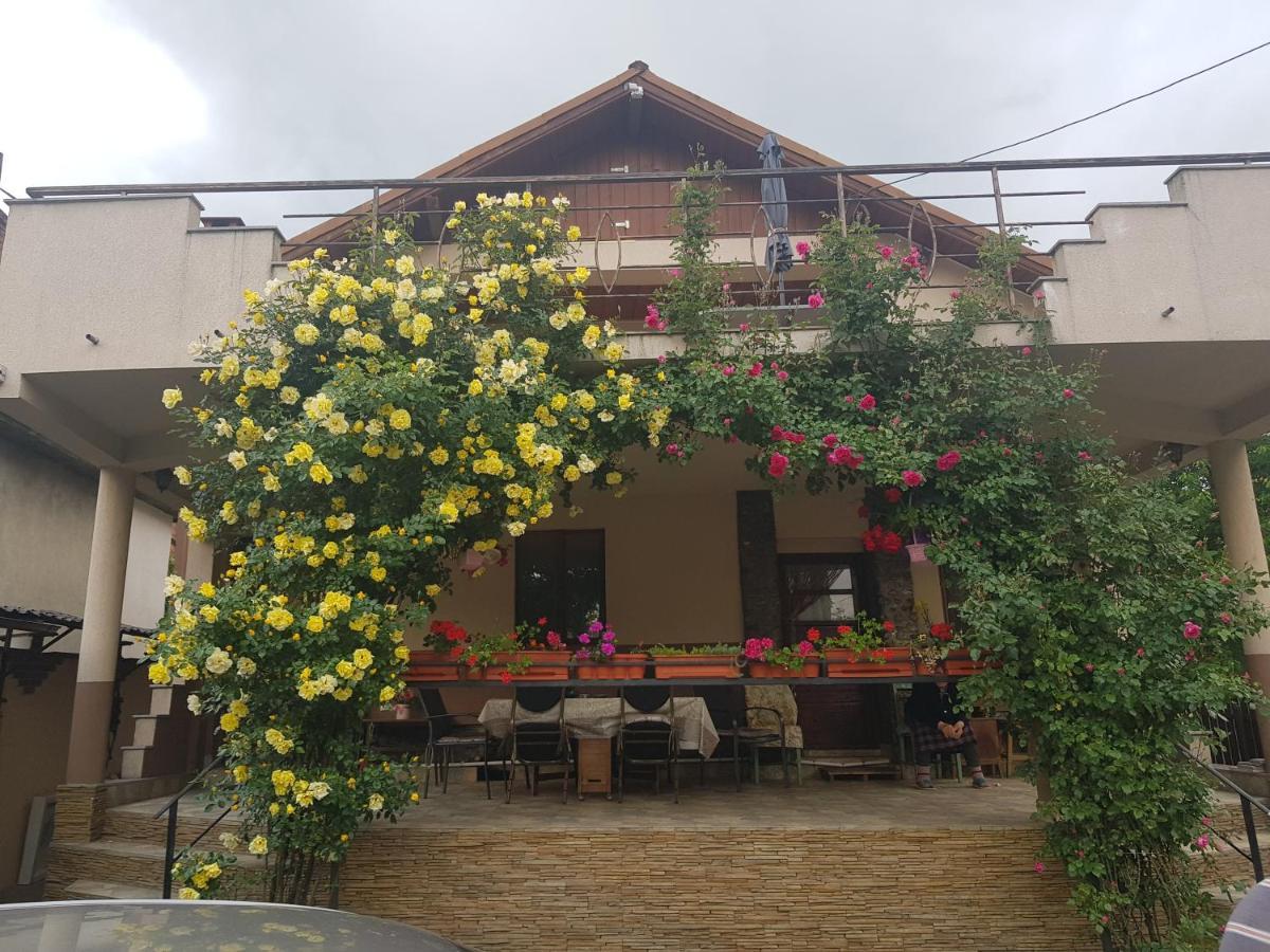 فندق Casa Delia Călimăneşti المظهر الخارجي الصورة