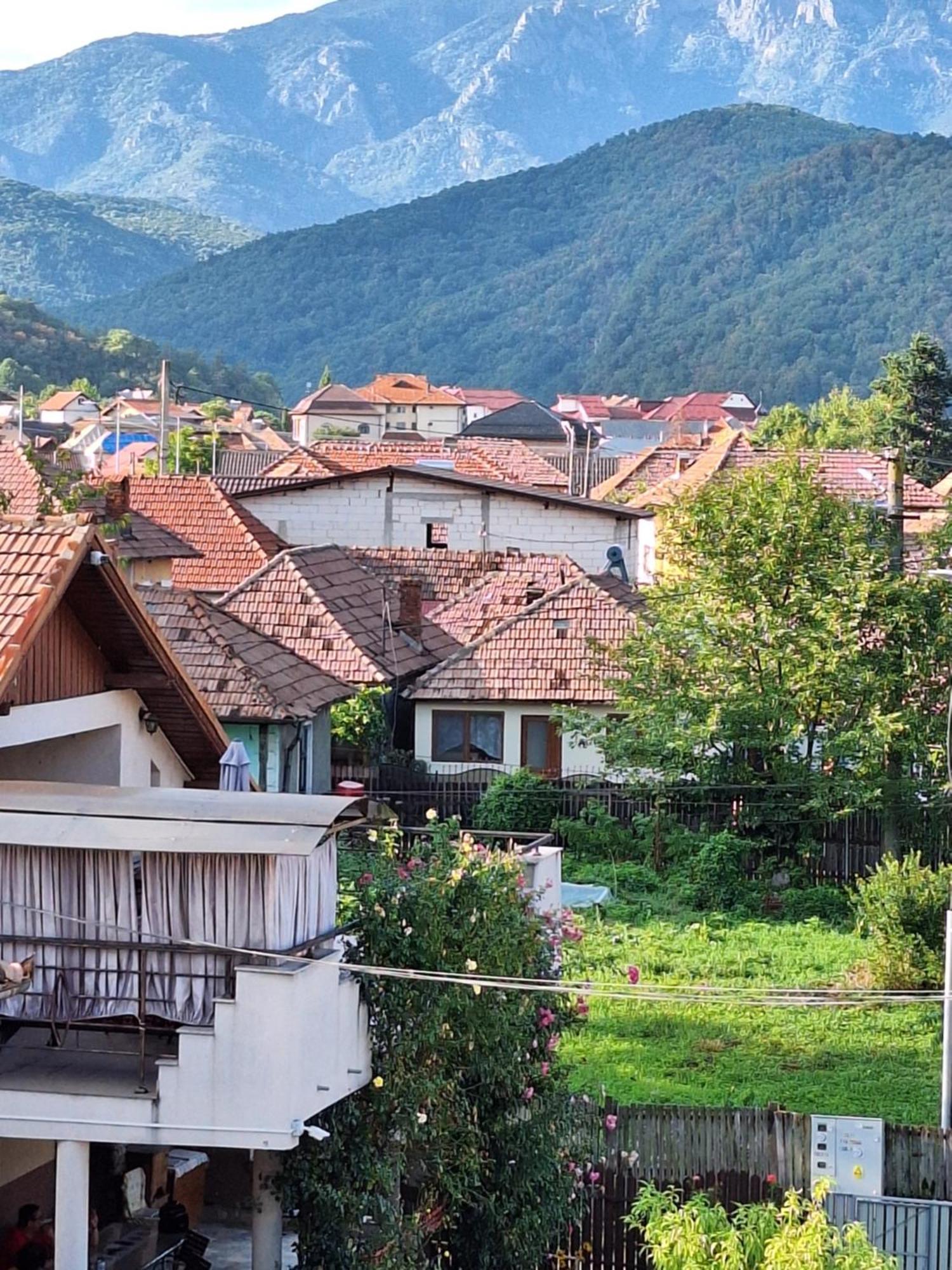 فندق Casa Delia Călimăneşti المظهر الخارجي الصورة