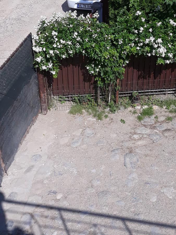 فندق Casa Delia Călimăneşti المظهر الخارجي الصورة