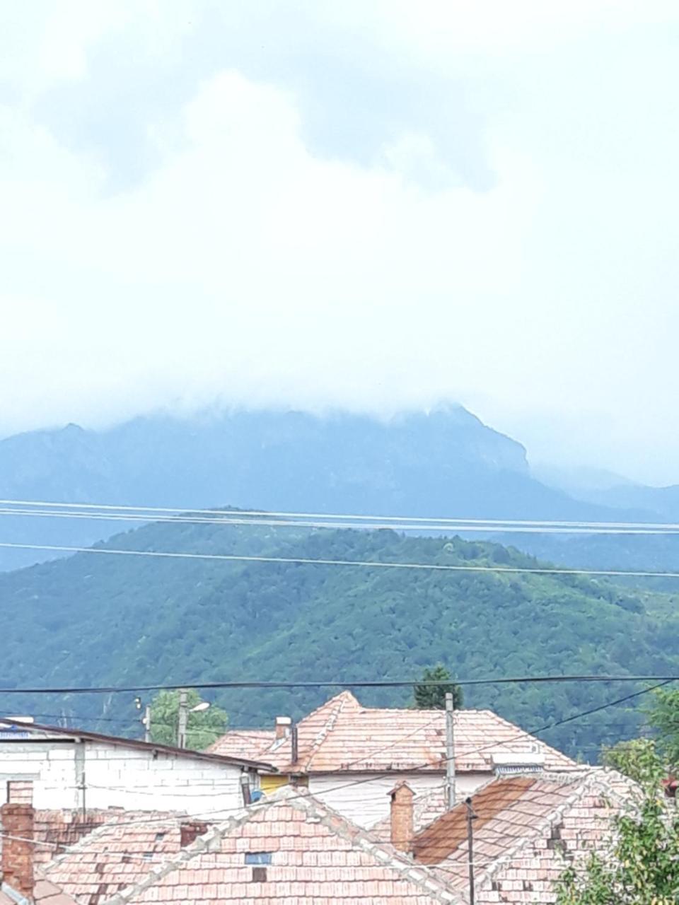 فندق Casa Delia Călimăneşti المظهر الخارجي الصورة